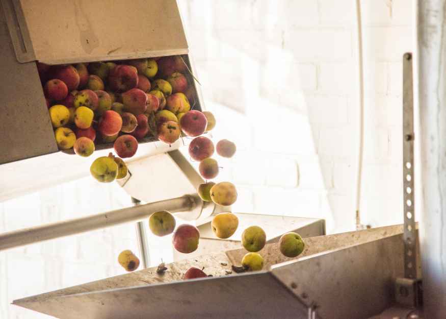 Advanced Cider Pressing Equipment | BHF Technologies