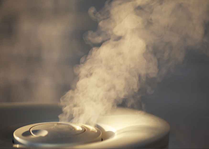 Reliable Steam Systems for Dairy Processing | BHF Technologies