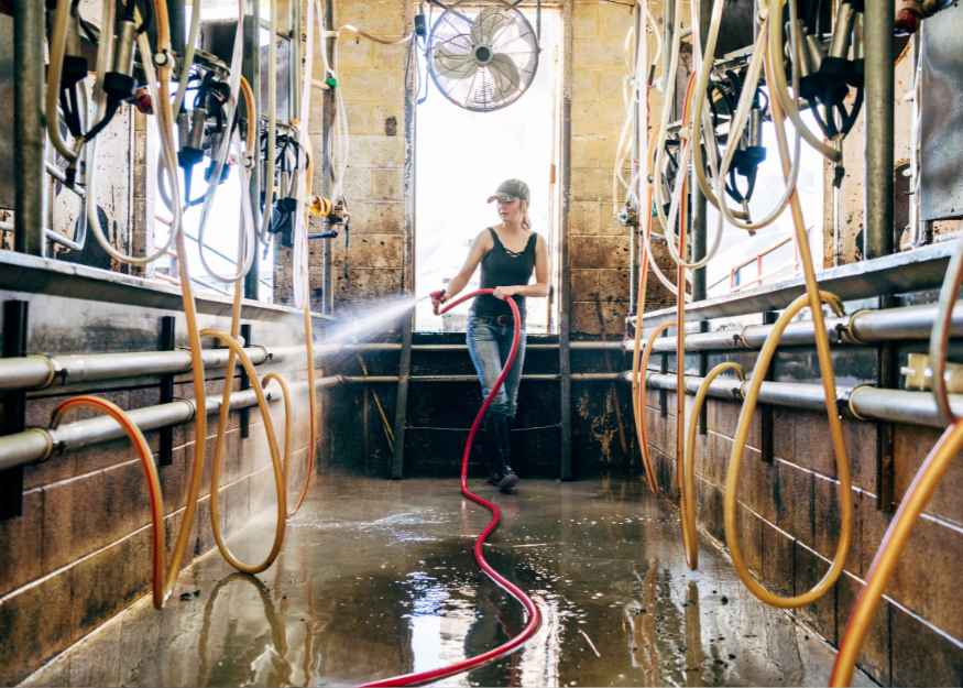 Effective Rinse and Clean Solutions for Dairy Industry