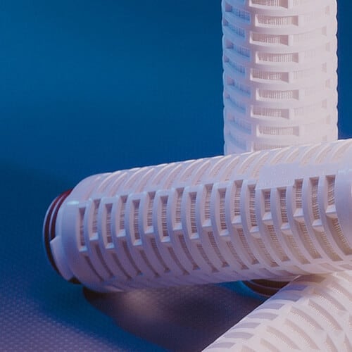 Prepor PES Sterile Filter Cartridge